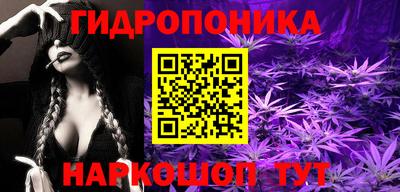 сатива Кунгур