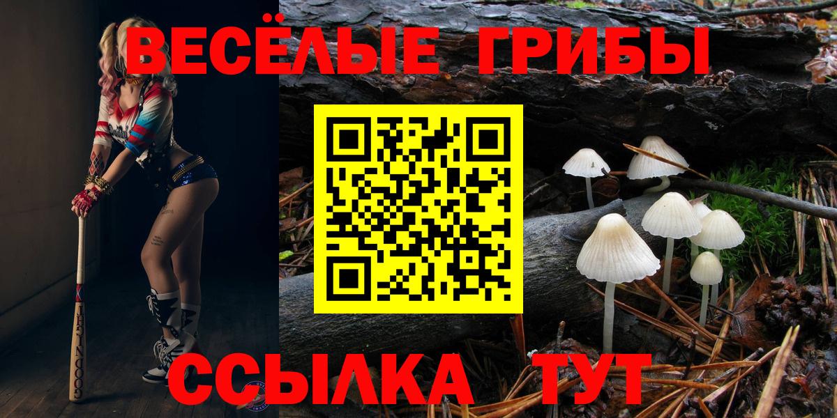 Камышин  Галлюциногенные грибы ЛСД  Вход с VPN 