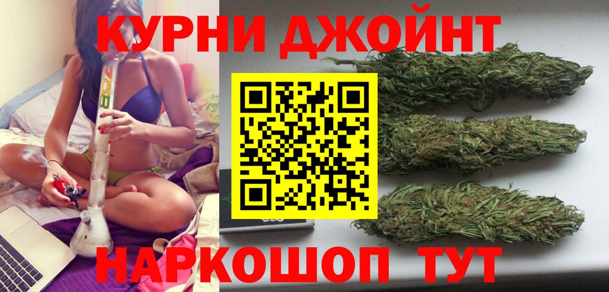 Конопля сатива  Каннабис Amnesia  МАРИХУАНА White Widow  Вход с VPN  Каннабис планчик  Камышин 
